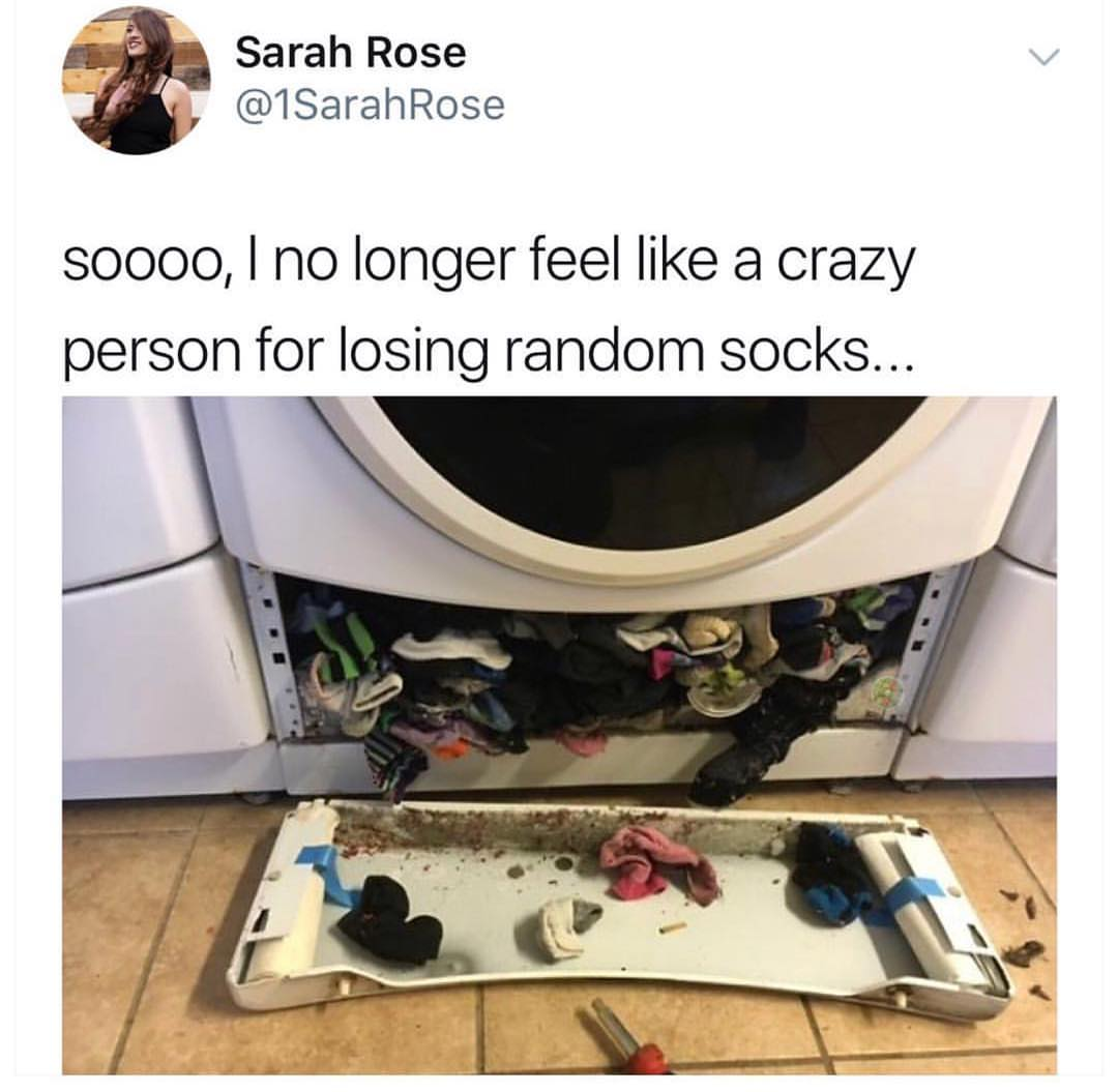 washing machine socks - Sarah Rose Rose S0000, I no longer feel a crazy person for losing random socks...