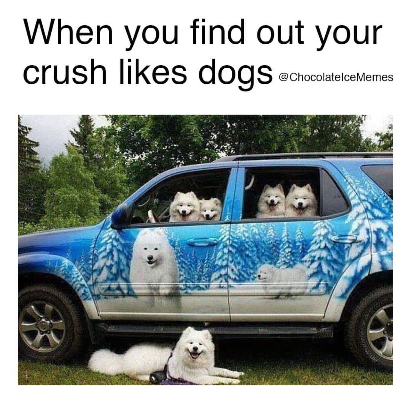 friend that always asks for a ride - When you find out your crush dogs chocolatelcelemes