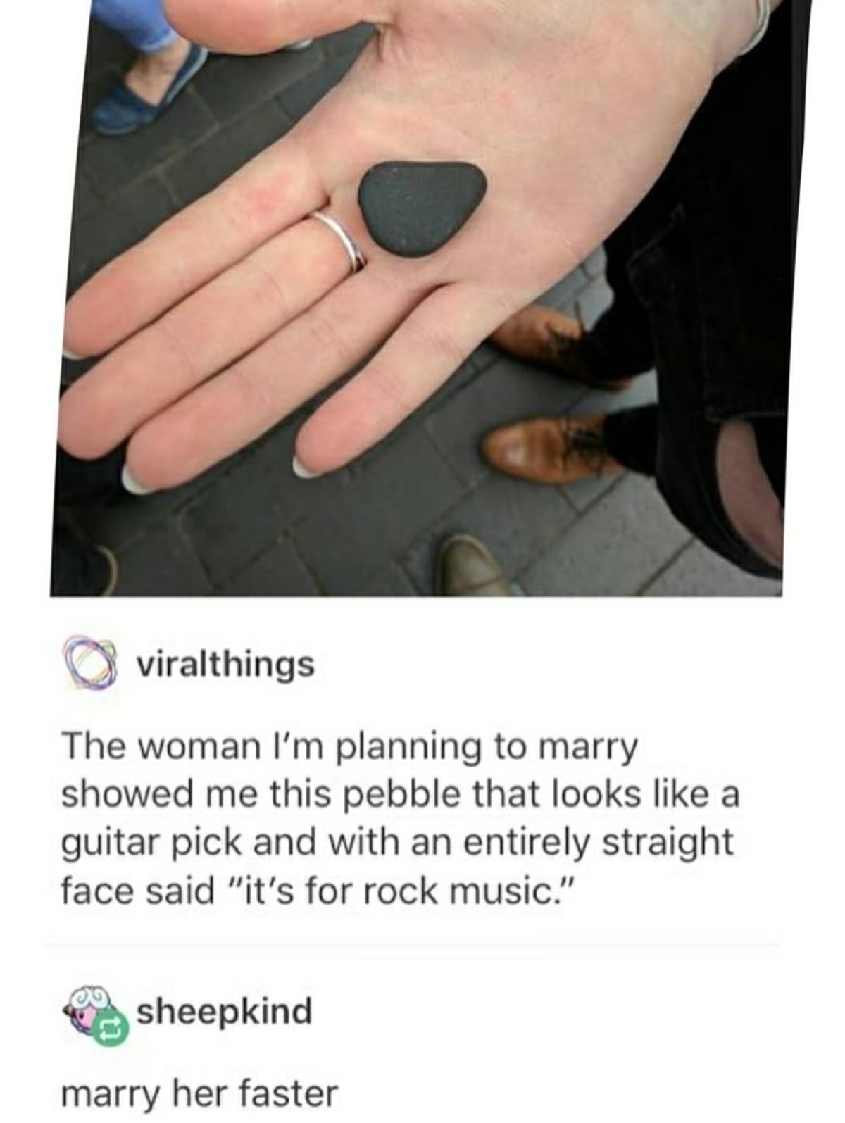 marry her faster - O viralthings The woman I'm planning to marry showed me this pebble that looks a guitar pick and with an entirely straight face said "it's for rock music." sheepkind marry her faster