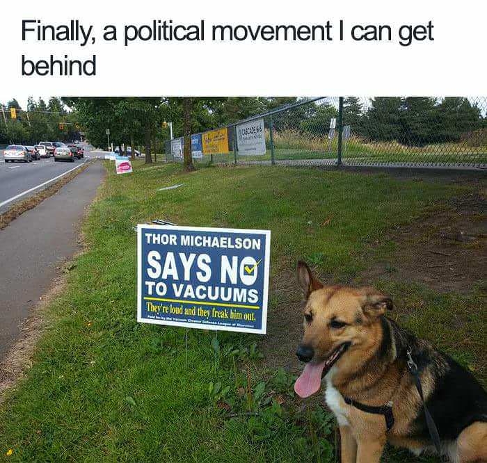 cute animal memes - Finally, a political movement I can get behind Thor Michaelson Says No To Vacuums They're loud and they freak him out.