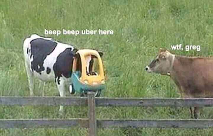beep beep uber here wtf greg - beep beep uber here wtf, greg