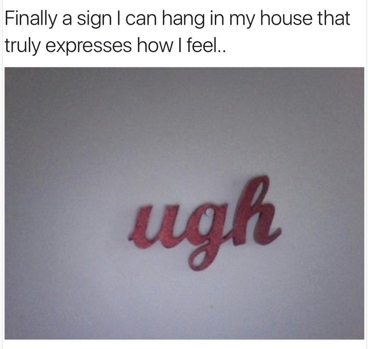 Meme - Finally a sign I can hang in my house that truly expresses how I feel.. ugh