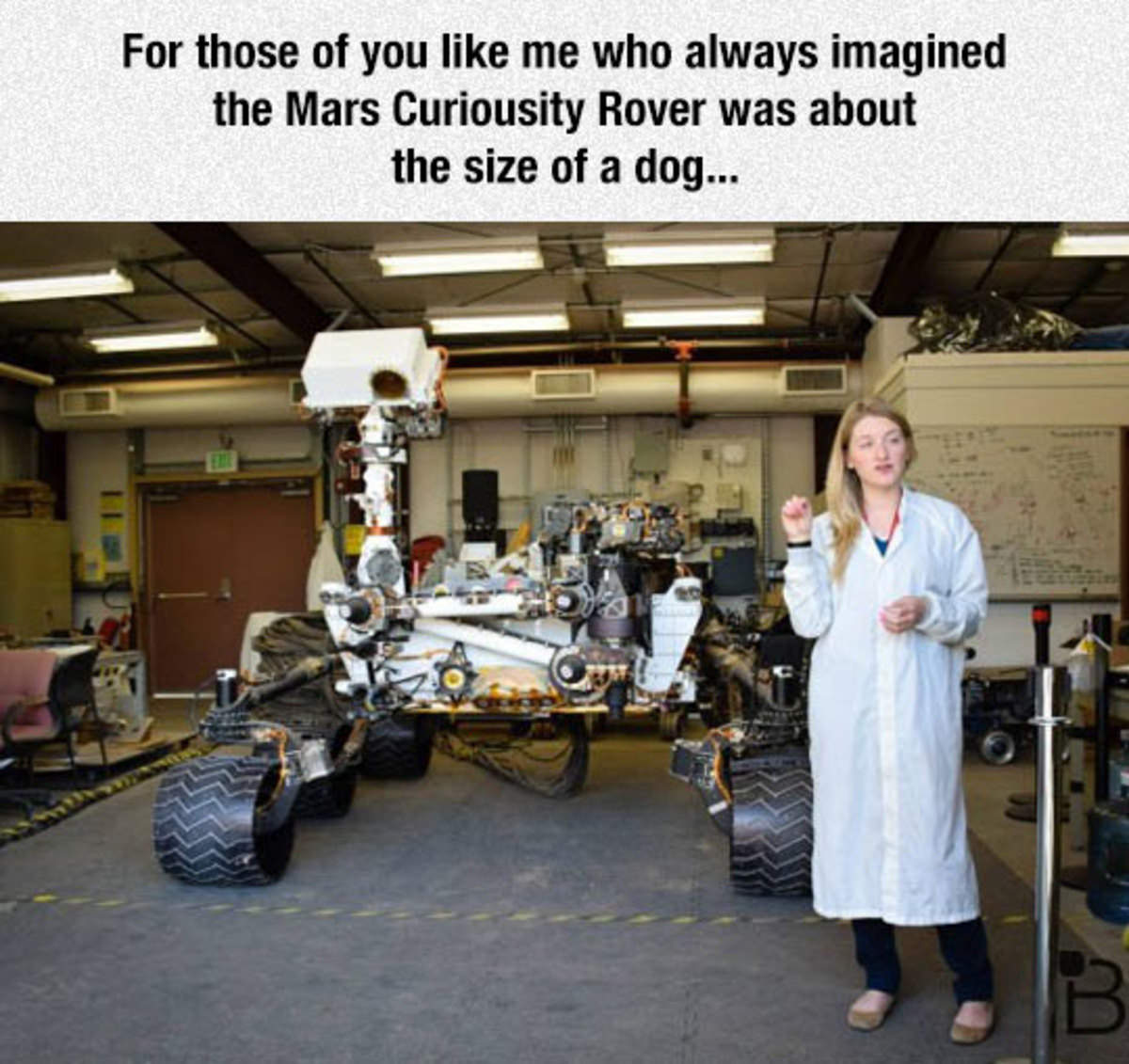 mars curiosity rover size - For those of you me who always imagined the Mars Curiousity Rover was about the size of a dog...