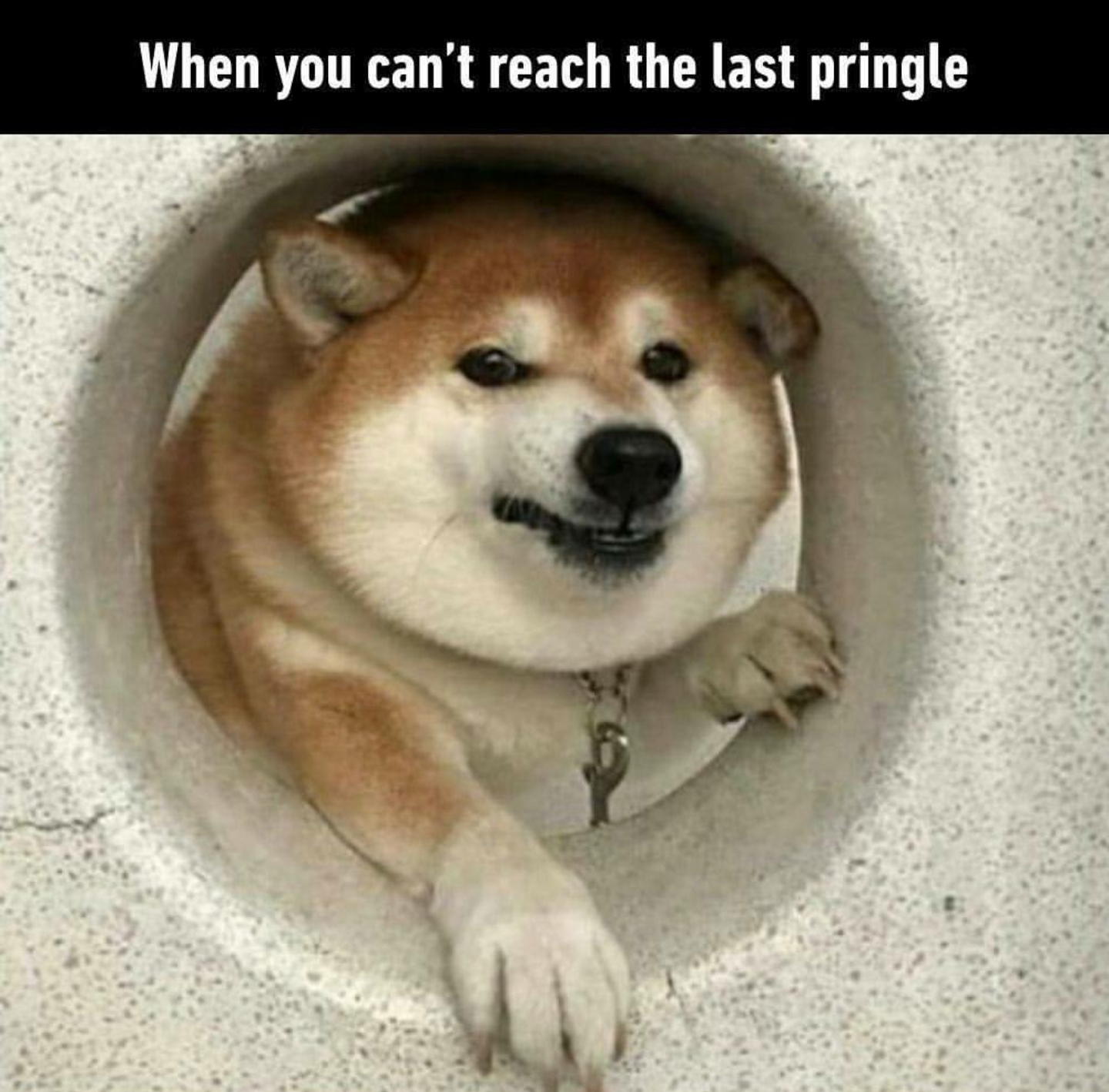 memes  - my last pringle sees - When you can't reach the last pringle
