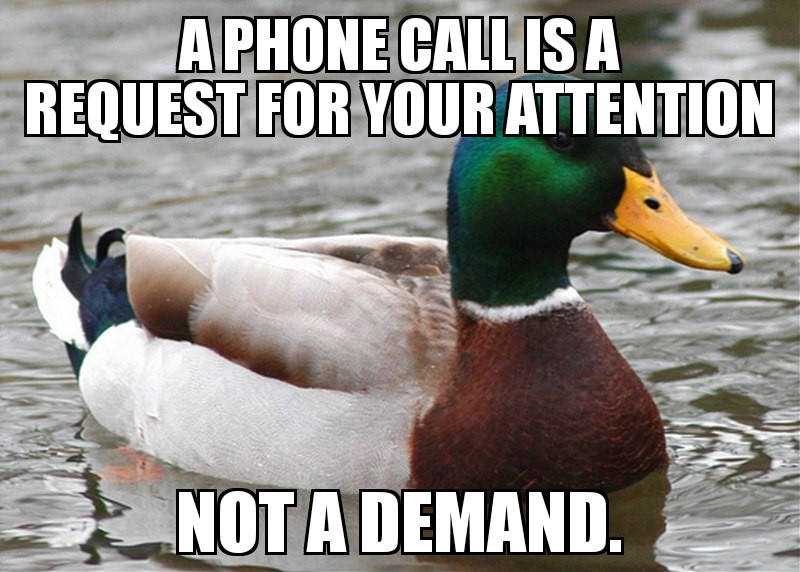 memes  - wanna duck you - A Phone Callis A Request For Your Attention Not A Demand.