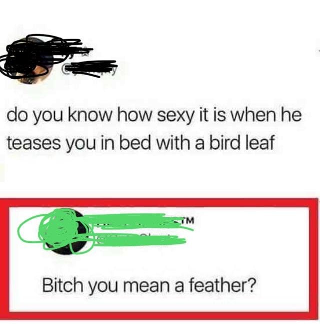 bitch you mean a feather - do you know how sexy it is when he teases you in bed with a bird leaf . . Im Bitch you mean a feather?