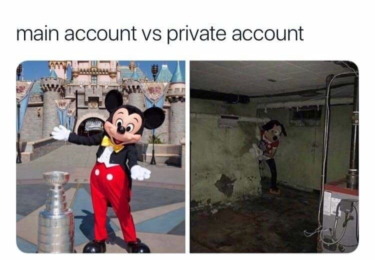 mickey mouse at Disneyland as your main account and the cursed pic of mickey in a basement as your private account