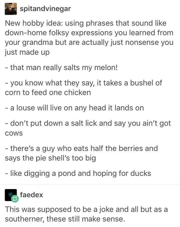 Tumblr thread about southerners understanding made up expressions