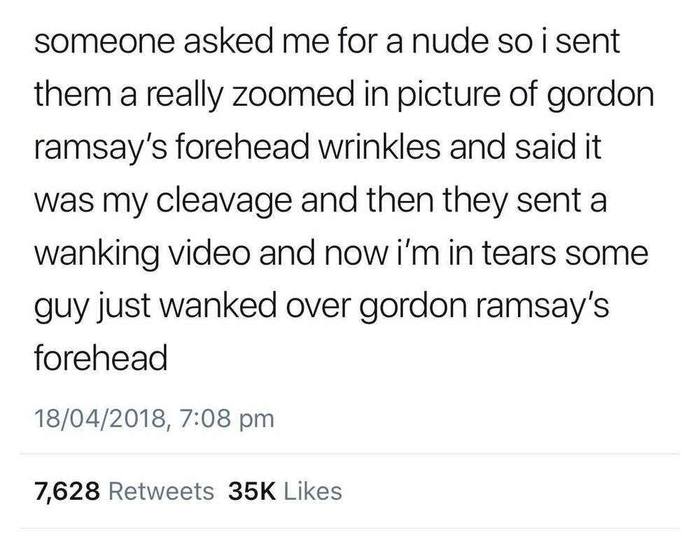 liars - best dad jokes - someone asked me for a nude so i sent them a really zoomed in picture of gordon ramsay's forehead wrinkles and said it was my cleavage and then they sent a wanking video and now i'm in tears some guy just wanked over gordon ramsay