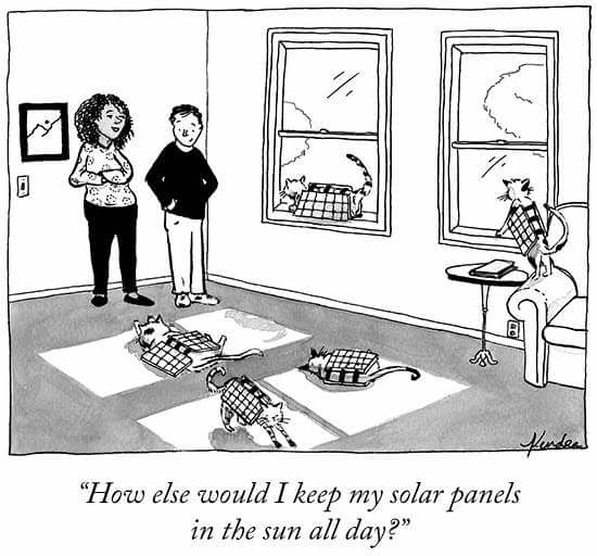 cat solar panel cartoon - Alusel How else would I keep my solar panels in the sun all day?"