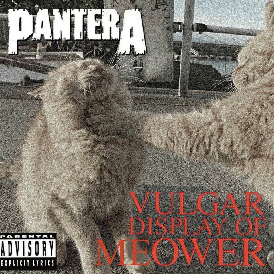vulgar display of power meme - Pantera Vulgar Dispeat Op Lowers Par E Ntal Advisory Explicit Lyrics Sus
