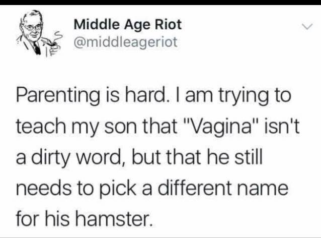 handwriting - for Middle Age Riot Parenting is hard. I am trying to teach my son that "Vagina" isn't a dirty word, but that he still needs to pick a different name for his hamster.