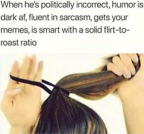 sex memes - When he's politically incorrect, humor is dark af, fluent in sarcasm, gets your memes, is smart with a solid flirtto roast ratio