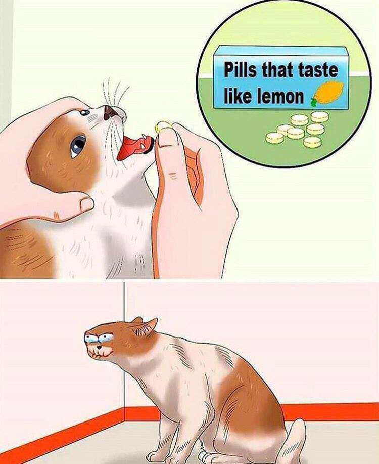 sour memes - Pills that taste lemon