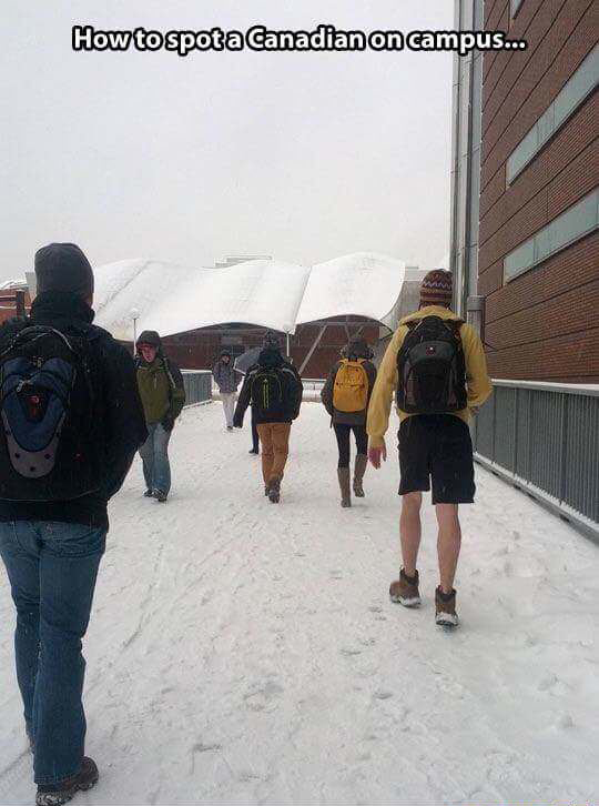 spot the canadian - How to spot a Canadian on campus...
