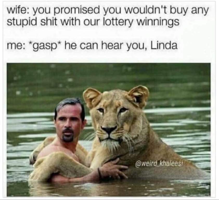 kevin richardson lion - wife you promised you wouldn't buy any stupid shit with our lottery winnings me gasp he can hear you, Linda