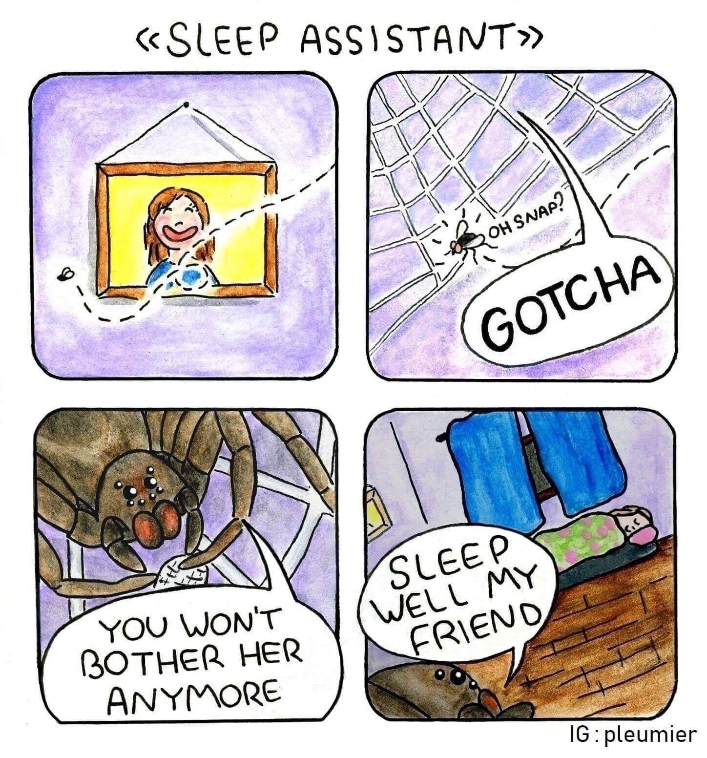 Spider protects in sleep