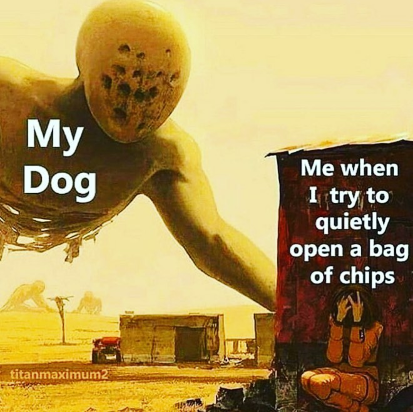 Image labeling meme about my dog and when I try to eat some chips
