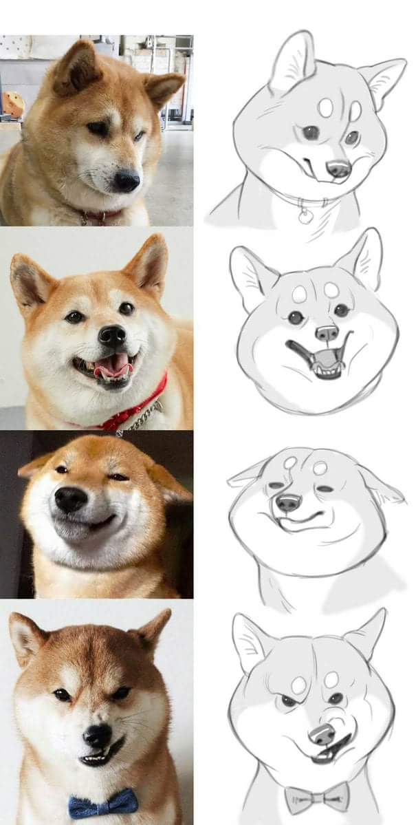 Shiba Inus DOGE drawings of various faces
