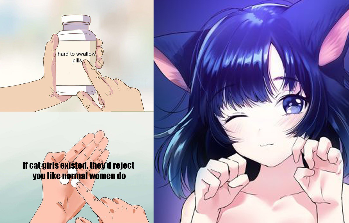 Hard to Swallow pills meme about how cat girls wouldn't like you in real life either