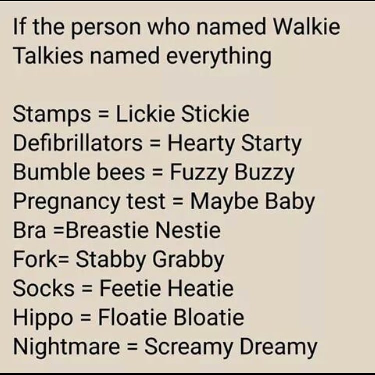 how things would be named if the guy who made Walkie Talkies named everything