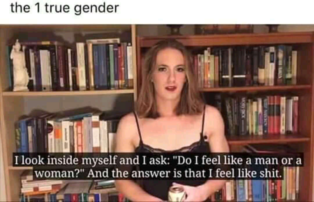 one true gender meme - the 1 true gender I look inside myself and I ask "Do I feel a man or a woman?" And the answer is that I feel shit.