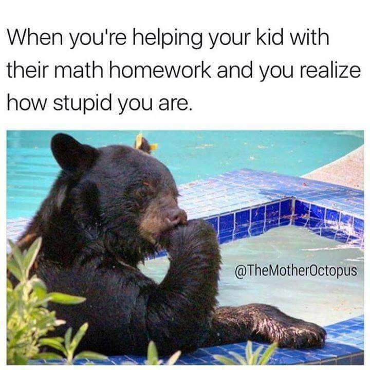 helping kids with math homework meme - When you're helping your kid with their math homework and you realize how stupid you are.