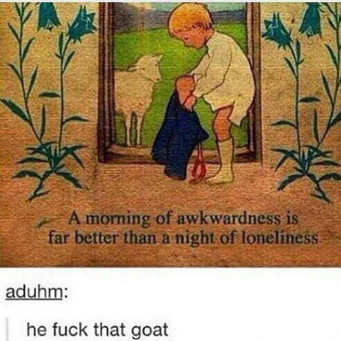 moment of awkwardness - A morning of awkwardness is far better than a night of loneliness, aduhm he fuck that goat