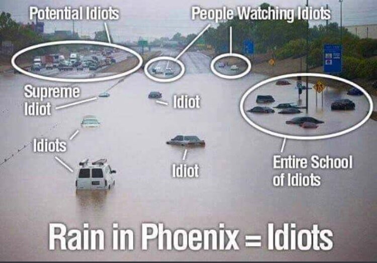 arizona monsoon meme - Potential Idiots People Watching Idiots Supreme Idiot B Idiot Idiots Idiot Entire School of Idiots Rain in Phoenix Idiots