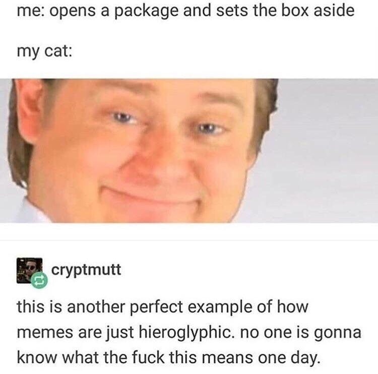cat it's free real estate - me opens a package and sets the box aside my cat cryptmutt this is another perfect example of how memes are just hieroglyphic. no one is gonna know what the fuck this means one day.