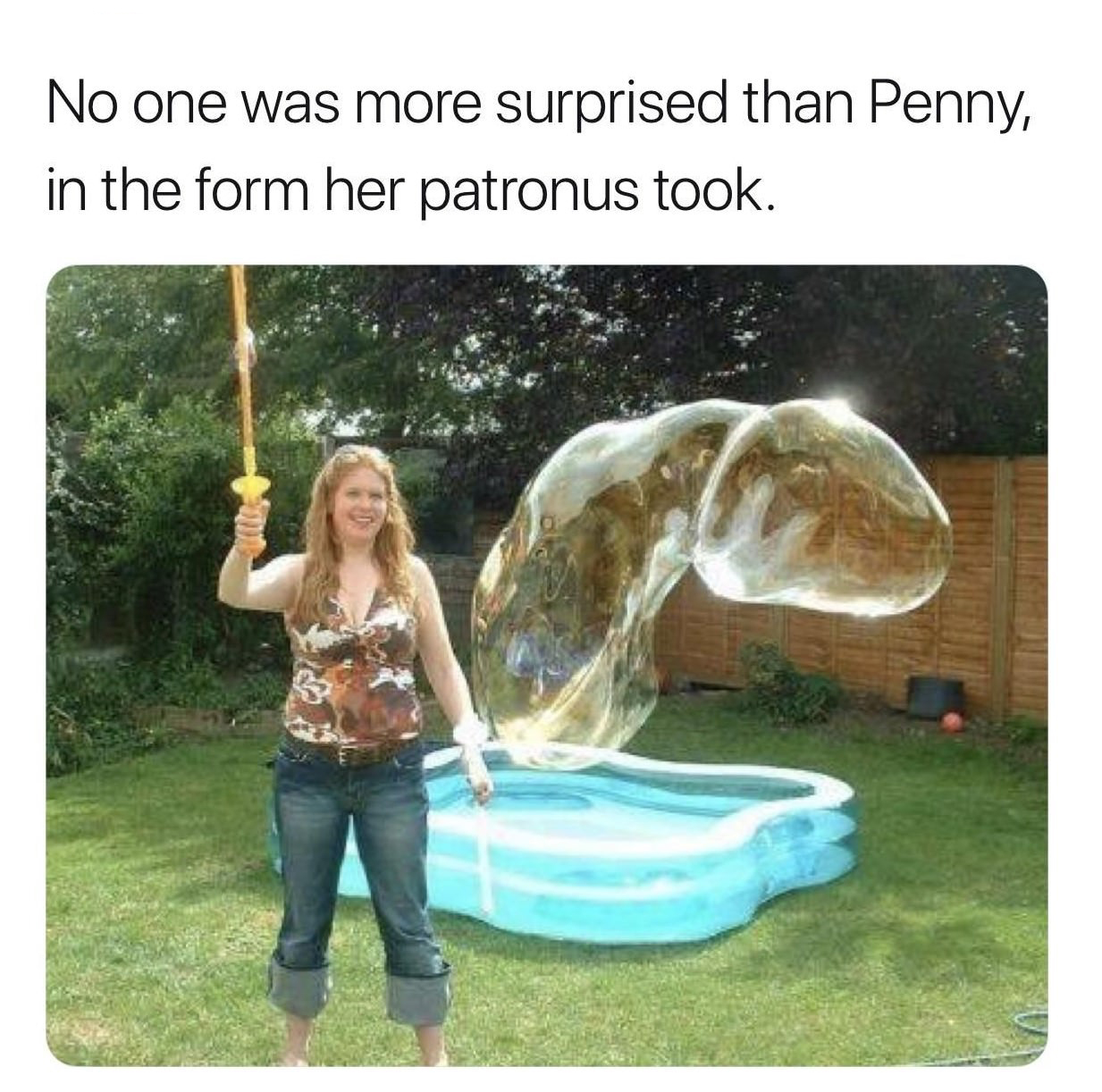 funny meme - No one was more surprised than Penny, in the form her patronus took.