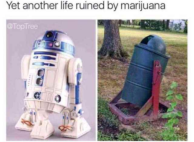 r2d2 drugs - Yet another life ruined by marijuana Tree