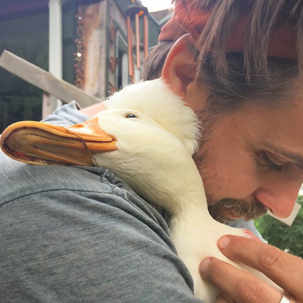 snuggle duck