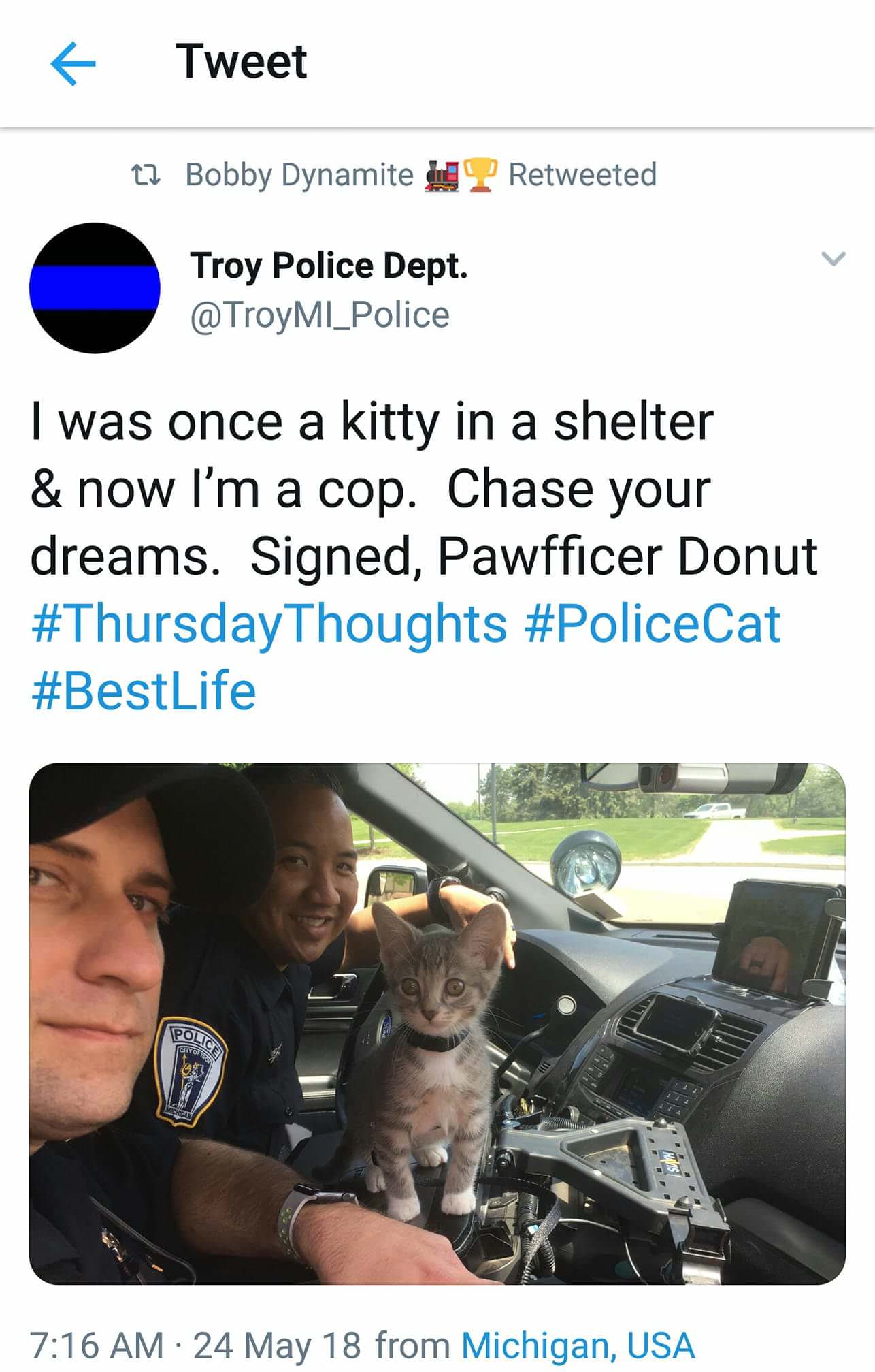 pawfficer donut - Tweet 12 Bobby Dynamite ? Retweeted Troy Police Dept. I was once a kitty in a shelter & now I'm a cop. Chase your dreams. Signed, Pawfficer Donut Thoughts Polic diyor 24 May 18 from Michigan, Usa