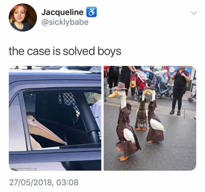 case is solved boys - Jacqueline 3 the case is solved boys 27052018,