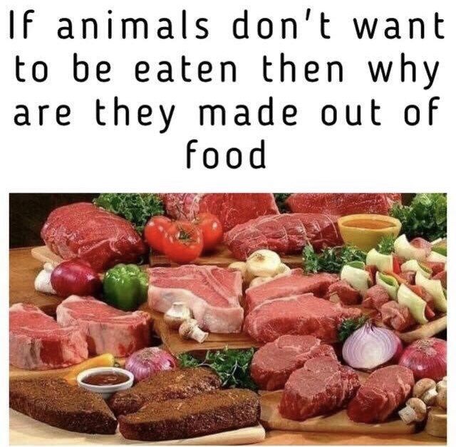 Anti vegan meme wondering if animals don't want to be eaten, then why do they taste like food