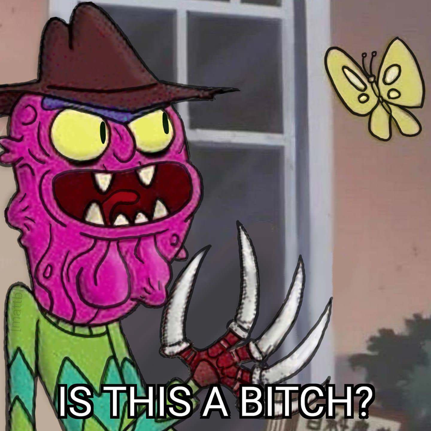 Is this a pigeon meme of Freddy Krueger calling everyone a bitch.