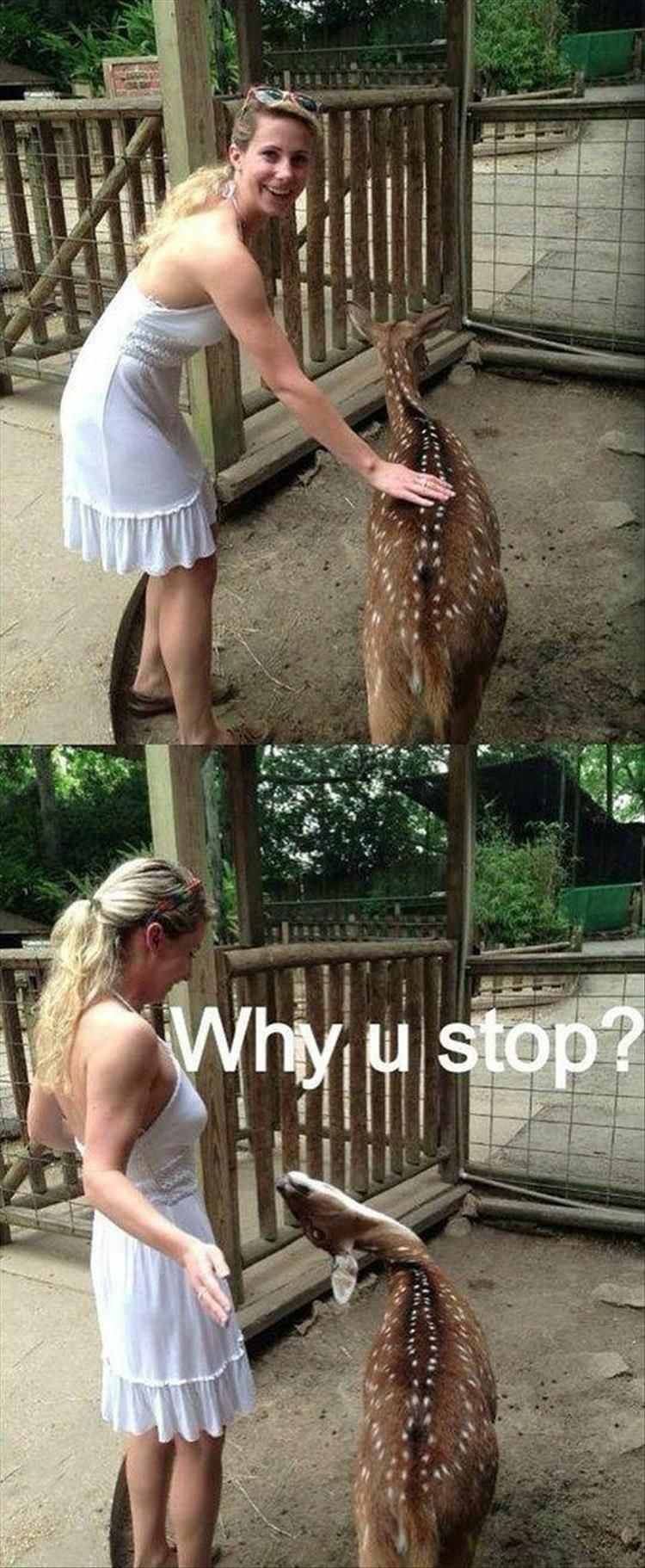 Funny meme of hot girl petting a deer that doesn't want to stop being pet
