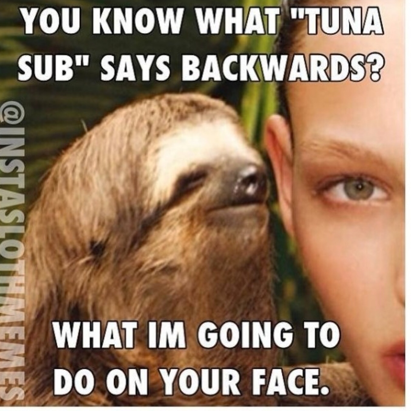 laugh my arse off - You Know What "Tuna Sub" Says Backwards? What Im Going To Do On Your Face.