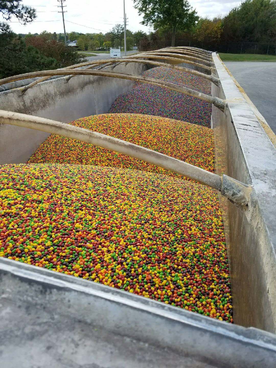skittles for cows