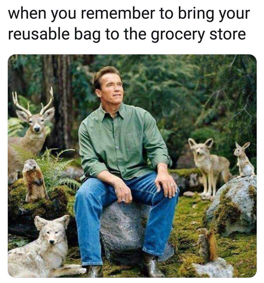 funny nature memes - when you remember to bring your reusable bag to the grocery store
