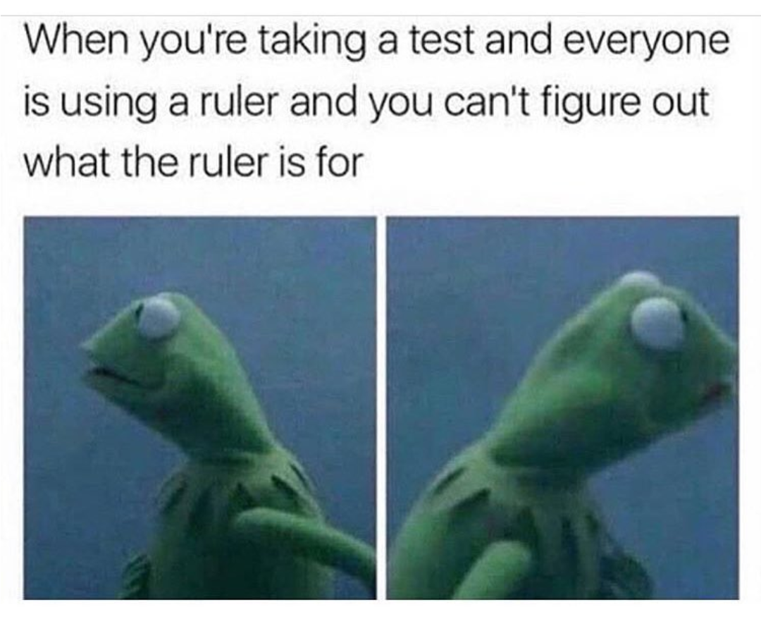 reptile - When you're taking a test and everyone is using a ruler and you can't figure out what the ruler is for