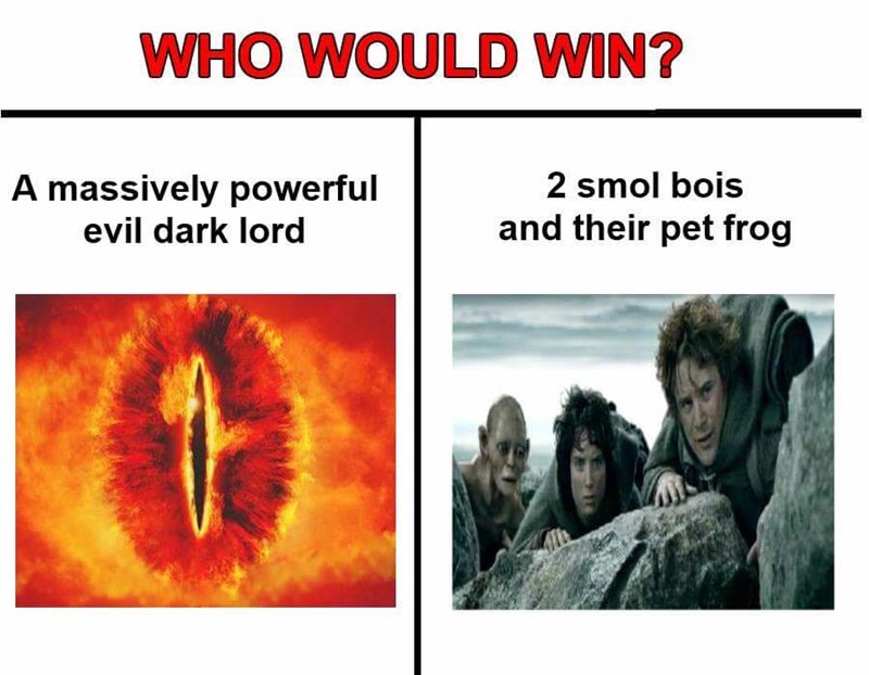 dank lotr memes - Who Would Win? A massively powerful evil dark lord 2 smol bois and their pet frog