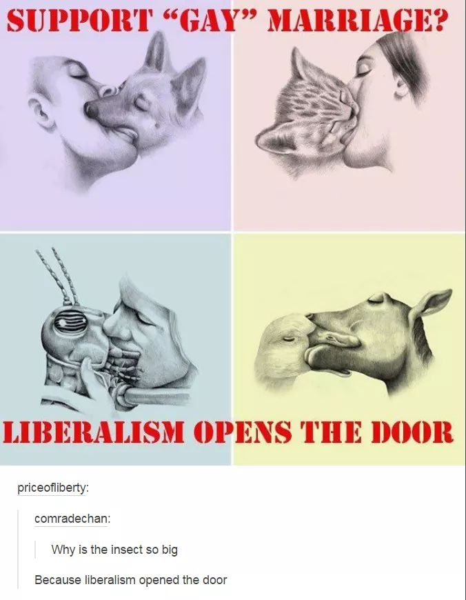 ariel pink round and round - Support "Gay Marriage? Liberalism Opens The Door priceofliberty comradechan Why is the insect so big Because liberalism opened the door