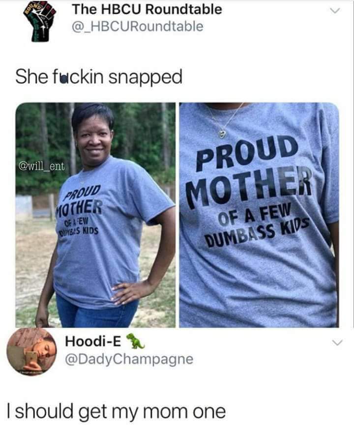proud mother of a few dumbass kids meme - The Hbcu Roundtable She fuckin snapped ent Proud Mother Proud Mother Of A Few Dimbus Kids Of A Few Dumbass Kids HoodiE I should get my mom one