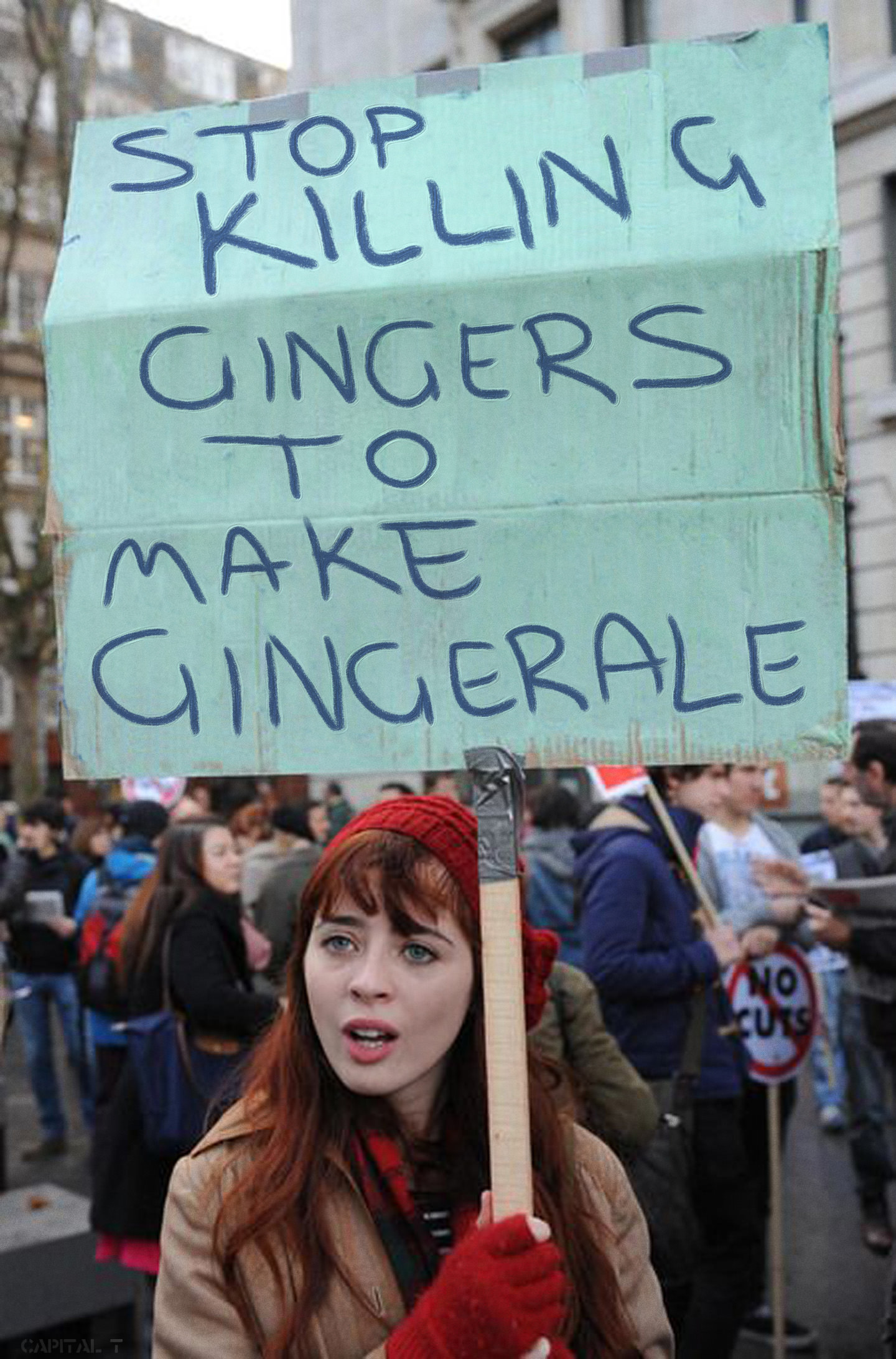 stop killing to make - Stop Killing Guingers To Make Gingerales