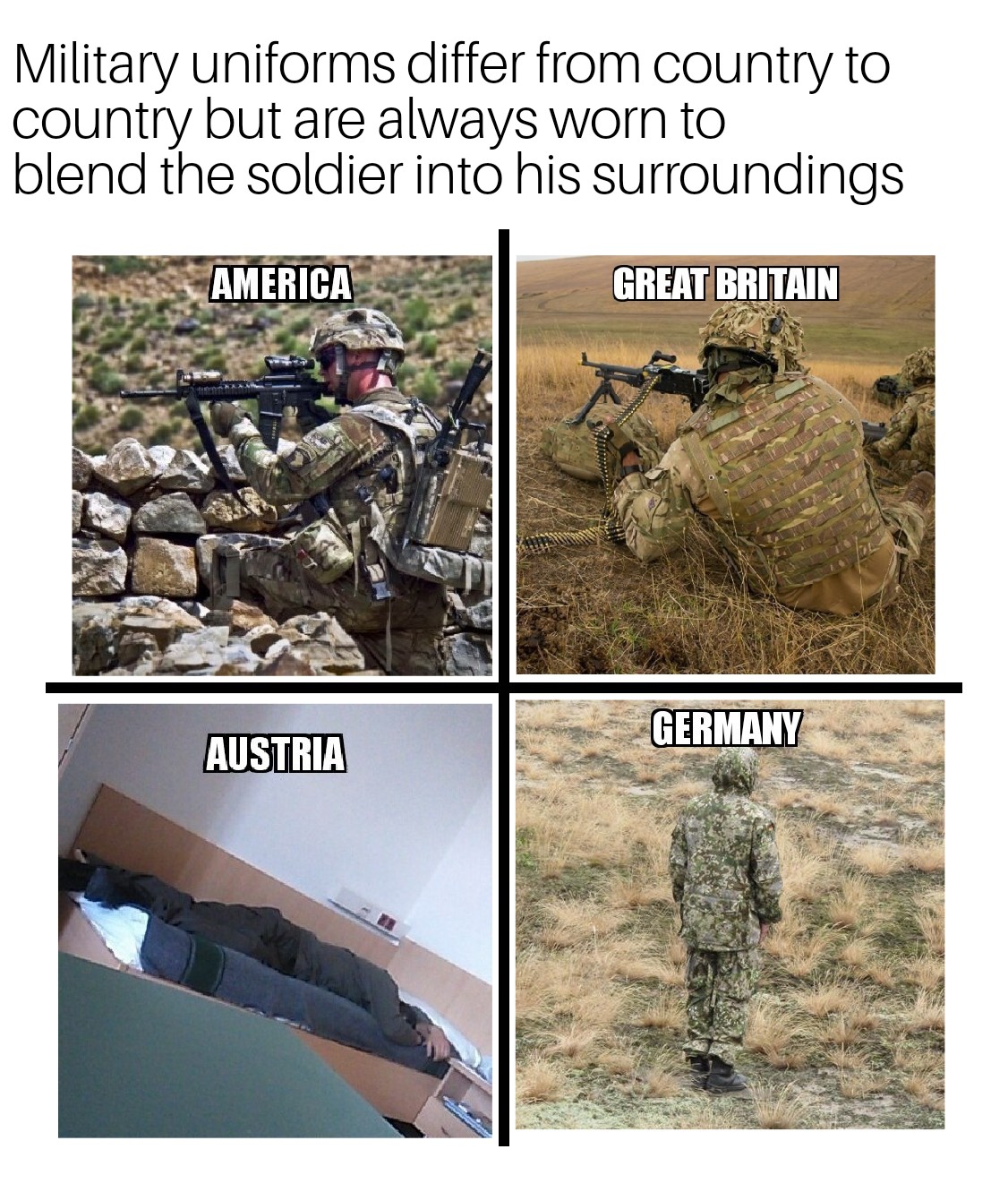 Meme about how different countries have different camouflage but Austria it is sleeping person on the couch