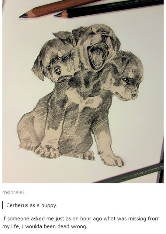 Drawing of Cerberus as a puppy and wholesome comment approving of it