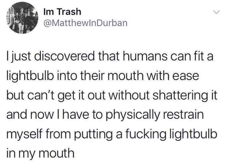 rant about how people can't get light bulbs that they put in their mouth and user wants to try it now