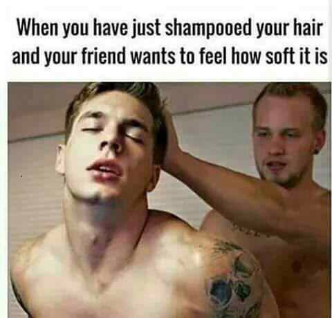memes of a homosexual variety - When you have just shampooed your hair and your friend wants to feel how soft it is